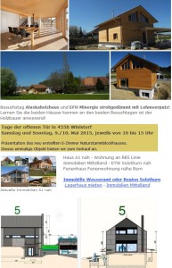 immo solothurn