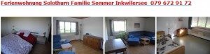 ferienwohnung mittelland
